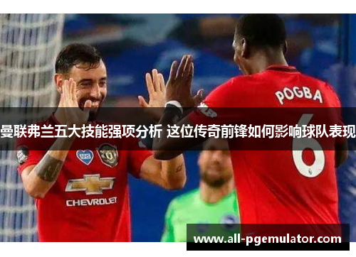 曼联弗兰五大技能强项分析 这位传奇前锋如何影响球队表现